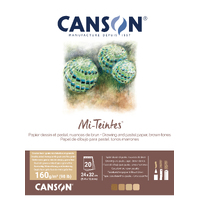 Canson Mi-Teintes Pad 24x32cm Brown Tones