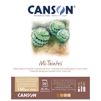 Canson Mi-Teintes Pad 32x41cm Brown Tones