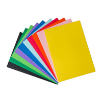 Cover Paper 125g A4 Pack 100 Assorted Colours